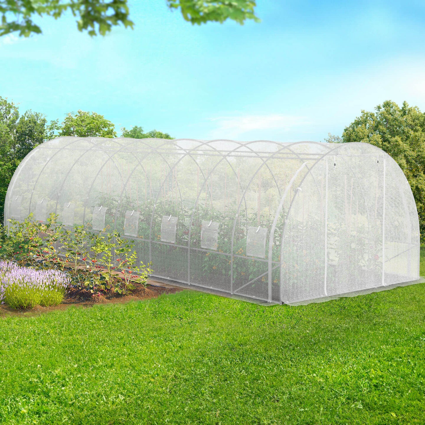 Serre de jardin tunnel 24m² 8 x 3 x 2 m acier galvanisé + bâche anti-UV avec porte et fenêtres DES ANDES blanche toutes saisons - 3