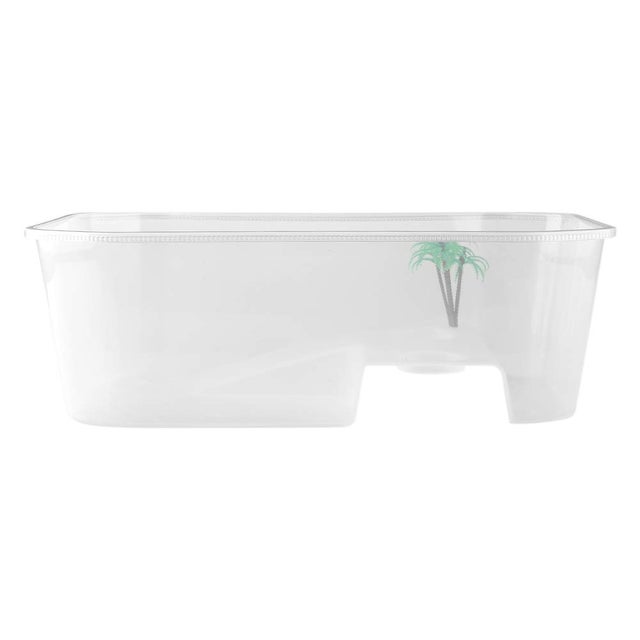 Pequeno aquário aberto de plástico com plataforma de frade para répteis tartarug