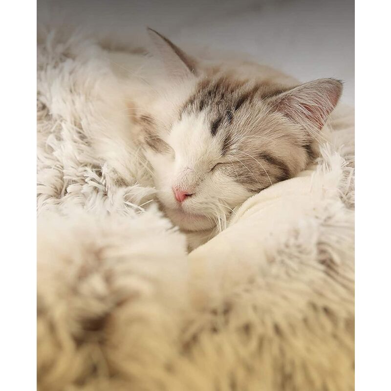 Panier pour Chat Moelleux Anti Stress Extra Doux Lit Apaisant pour Chien Canapé XL Confortable Lavable Maison, Coussin,Antidérapant (50cm,Marron) - 4