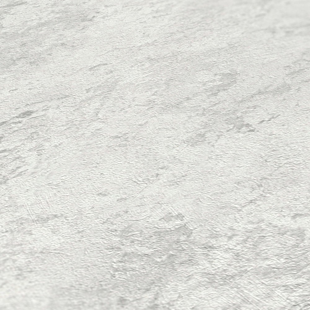Gris / plata