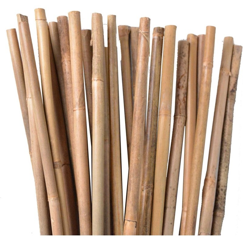 Lot de 500 Tuteur en Bambou 150 cm, 8-10 mm, Tubes en Bambou pour Plantes et Arbres, Baguettes de bambou, Canne de bambou - 2