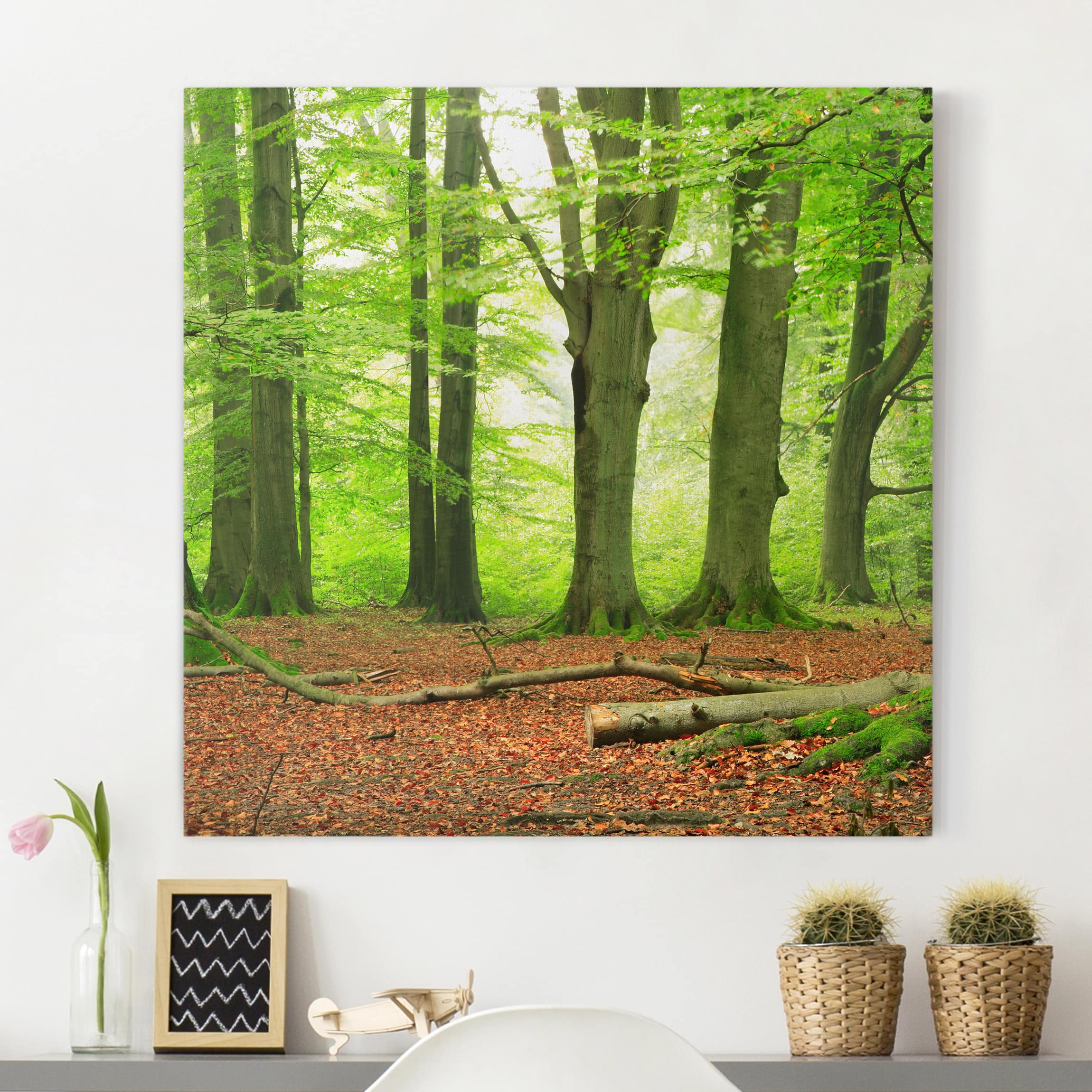 Quadro Su Tela, Natura Dell'albero Della Foresta Paesaggistica - Foto 9