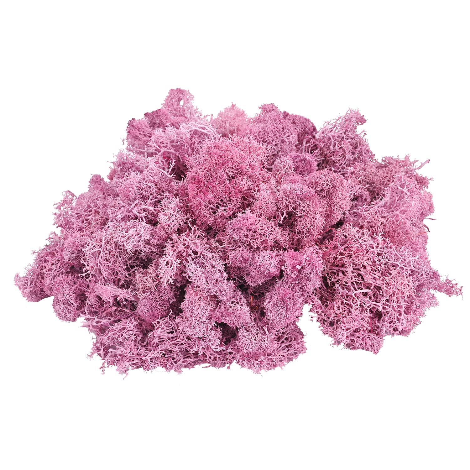 Wieczny mech do dekoracji ścian, biura, dekoracji ogrodu weselnego, 200g, różowy