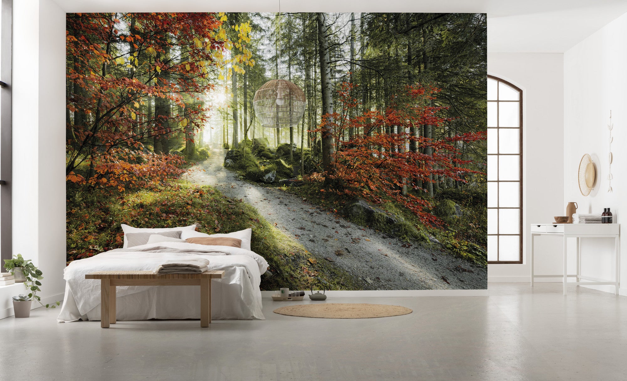 Fototapeta las zielonymIciepłego pomarańczu - 450 x 280 cm - SANDERS &amp; SANDERS
