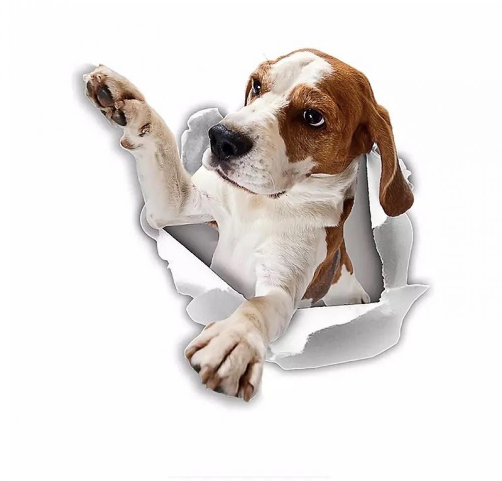 Naklejki 3D dla psów - 2 sztuki - naklejki Reach Beagle na ścianę, lodówkę, toaletę i inne naklejki Beagle 25 * 25 cm