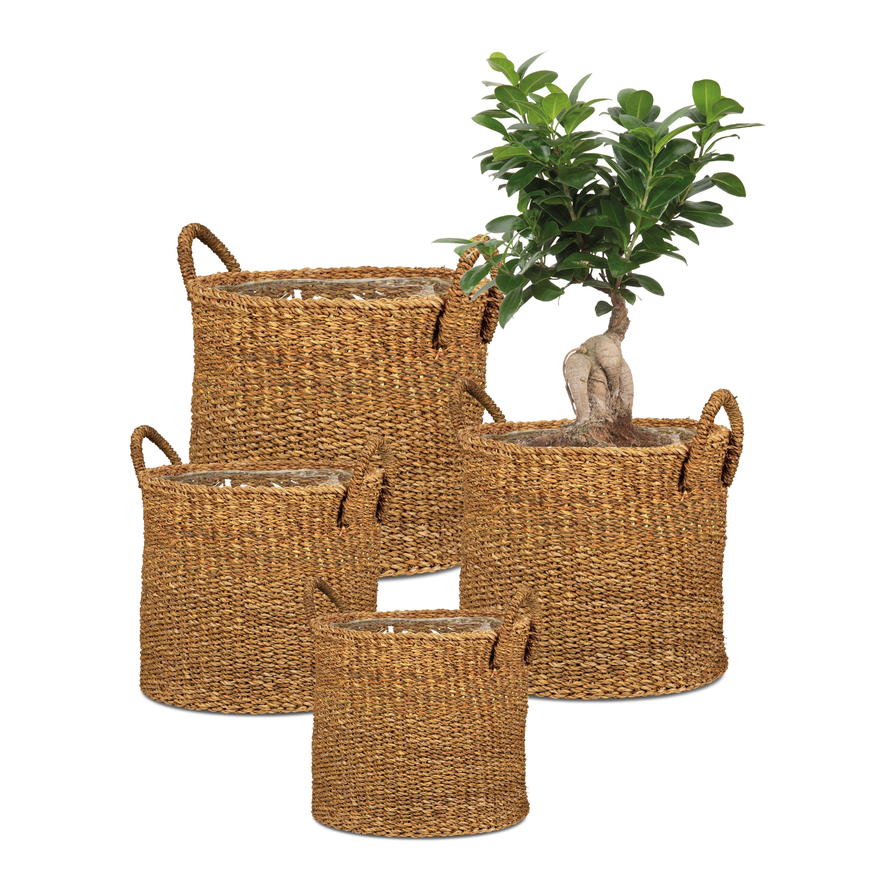 Scheurich Seagrass 37, Pot de fleurs en jonc de mer, couleur: Nut, diamètre 38 cm, hauteur 33 cm, 37.4 l vol. - 4