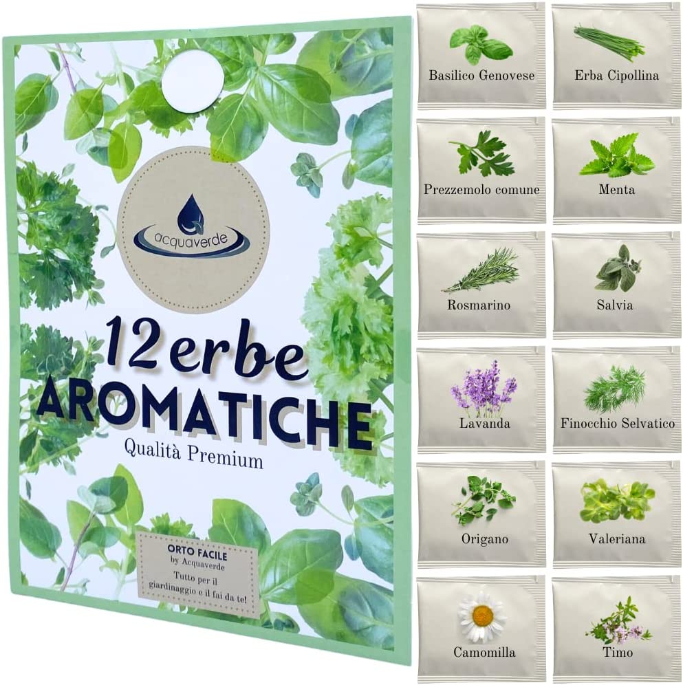 12 Erbe Aromatiche Semi: Basilico, Erba Cipollina, Prezzemolo, Menta, Salvia, Lavanda, Finocchio, Origano, Valeriana, Camomilla, Timo, Rosmarino - 5