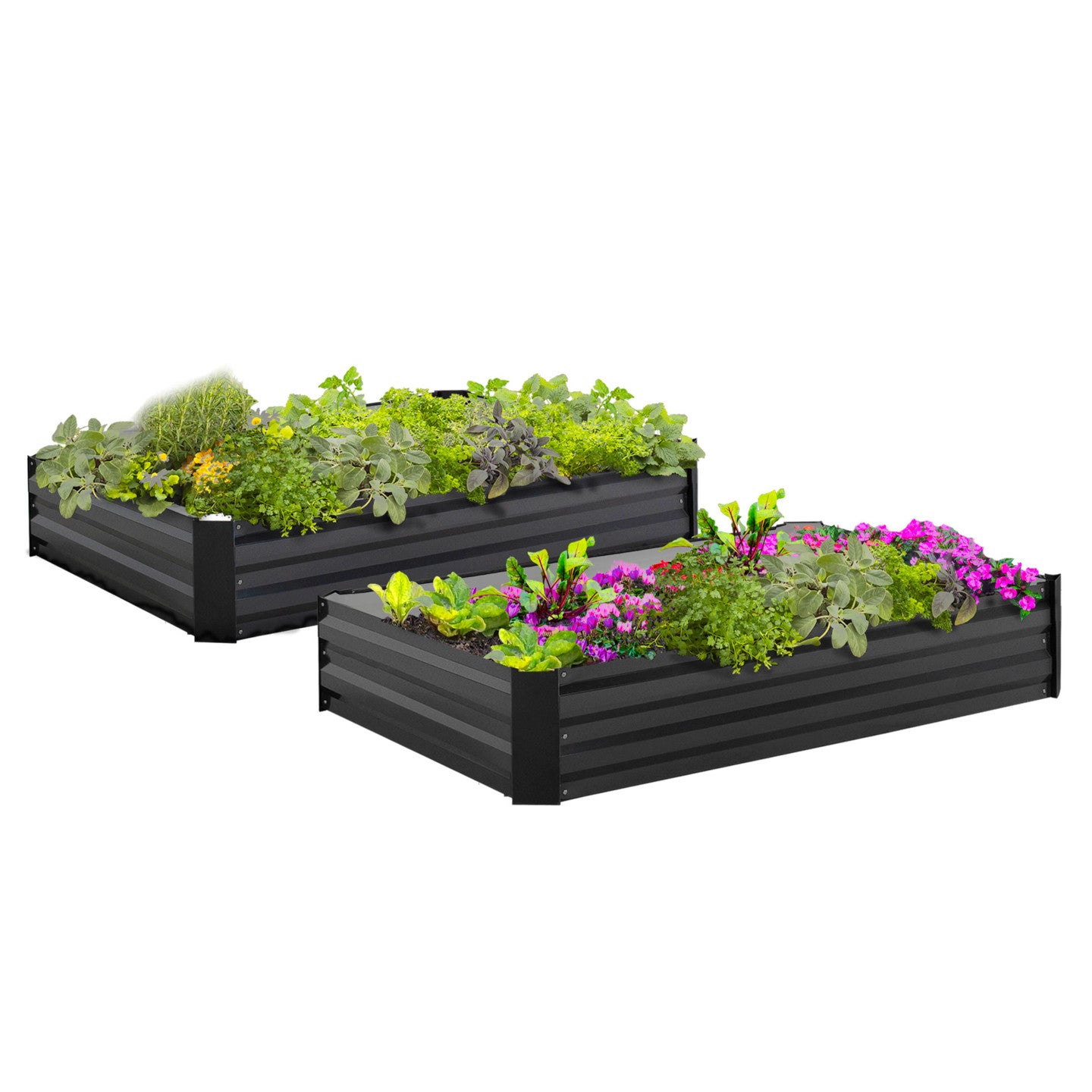 Lot de 2 carrés potager en métal châssis rectangulaire 80x115 cm gris anthracite - 2