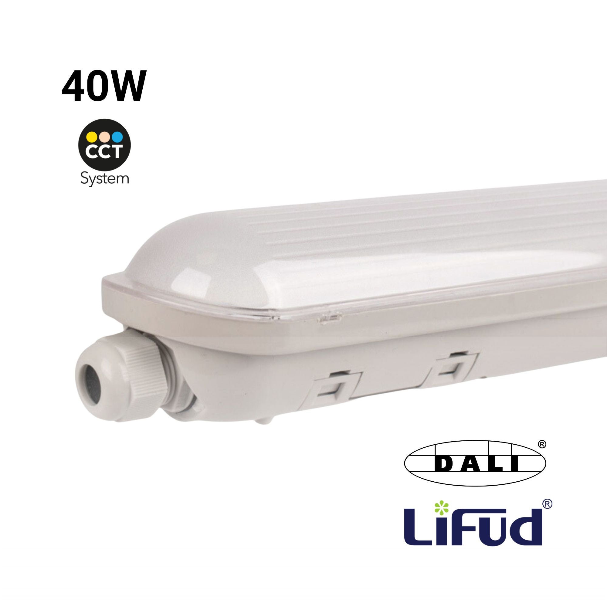 Carré Rouge Light At Job Nastro LED 10m 6000K IP65 - Bianco Freddo 178 LED/m Per Esterni