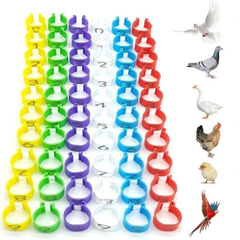 SHINING HOUSE 60 buc Inele de identificare a găinilor Inele de identificare a păsărilor Inele de plastic pentru picioare de papagal Diametru 16 mm