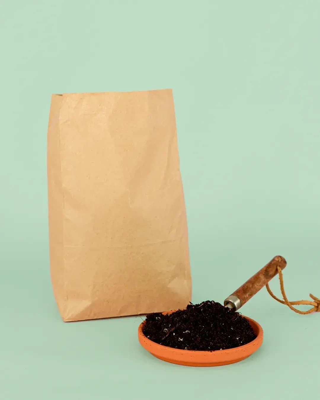 Sustrato Orgánico para Plantas | Interior & Exterior | Pur Plant ...