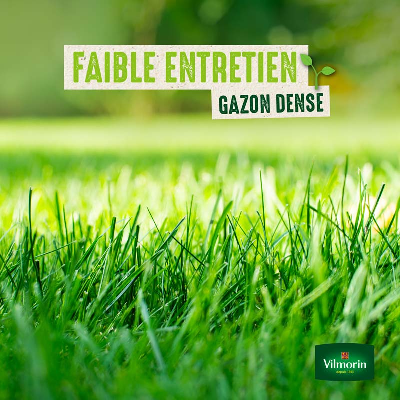 Gazon Ultra Résistant - Label Rouge - 10 kg - 3