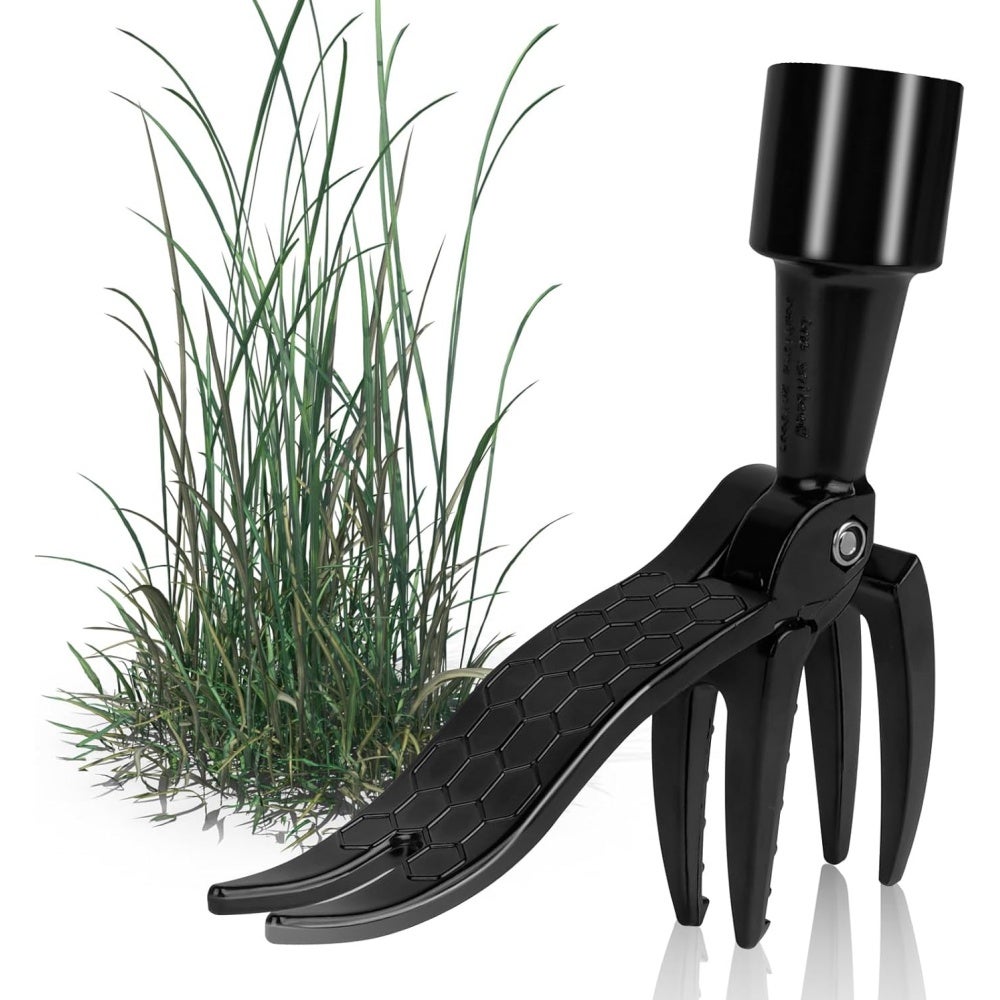 Reconnaître Mauvaises Herbes Du Jardin Photos | Chtoby Pomnili