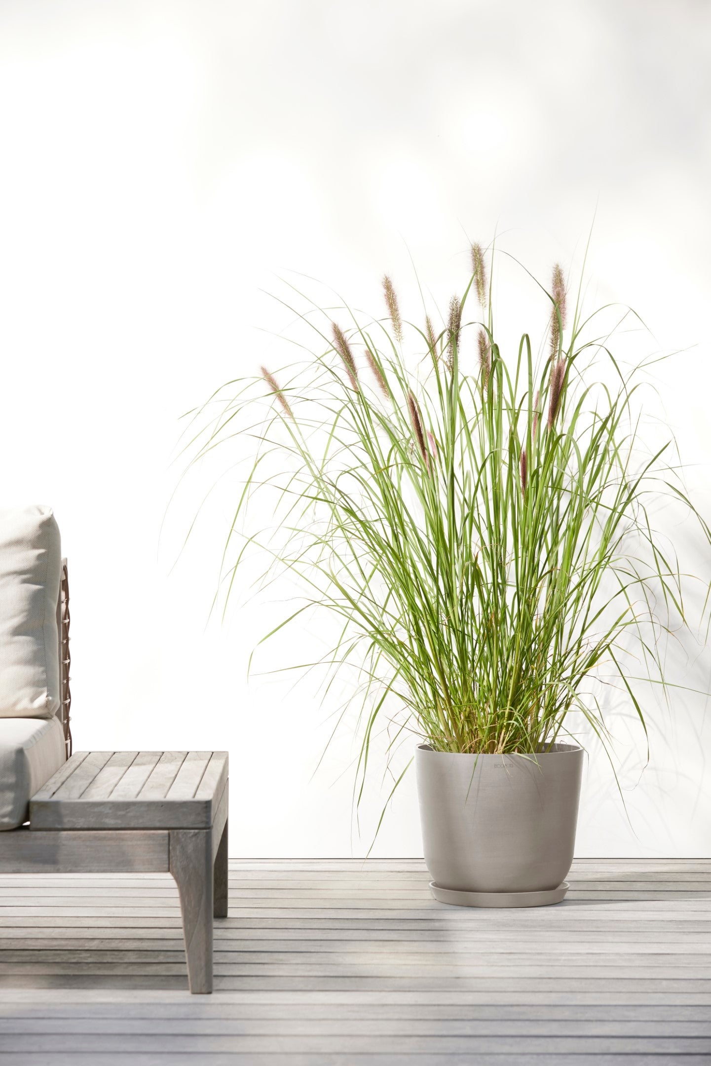 Ecopots Soucoupe ronde 30 pour pot de fleurs - L 28,7 cm x l 28,7 cm x H 3 cm - Blanc gris - Intérieur et extérieur - 5