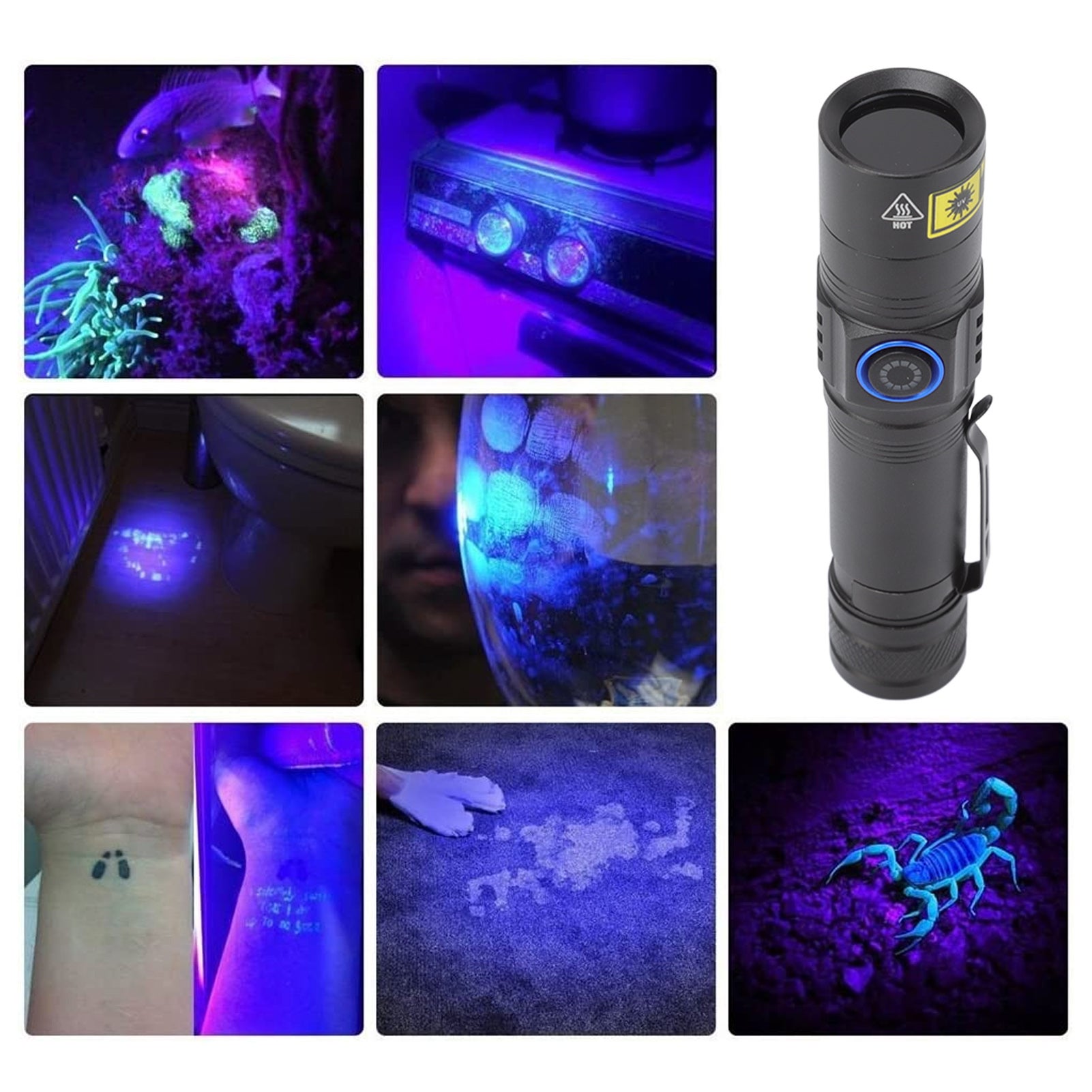 Torche UV LED 365nm rechargeable, portable, détecteur lumière noire pour urine animaux et scorpions, aluminium – ComfortXL - 2