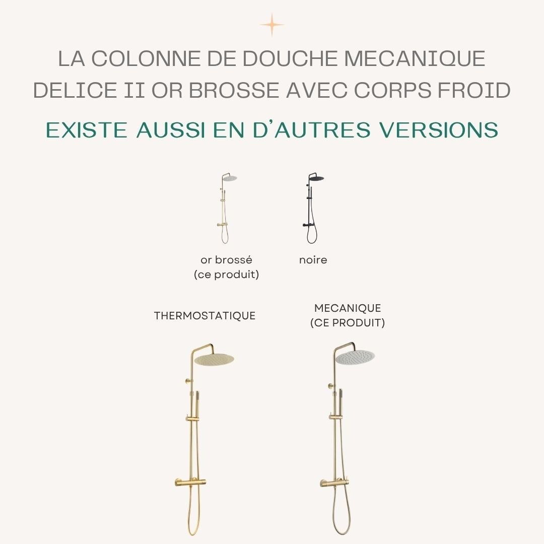 Delice II colonne de douche mécanique or brossé 300 - 7