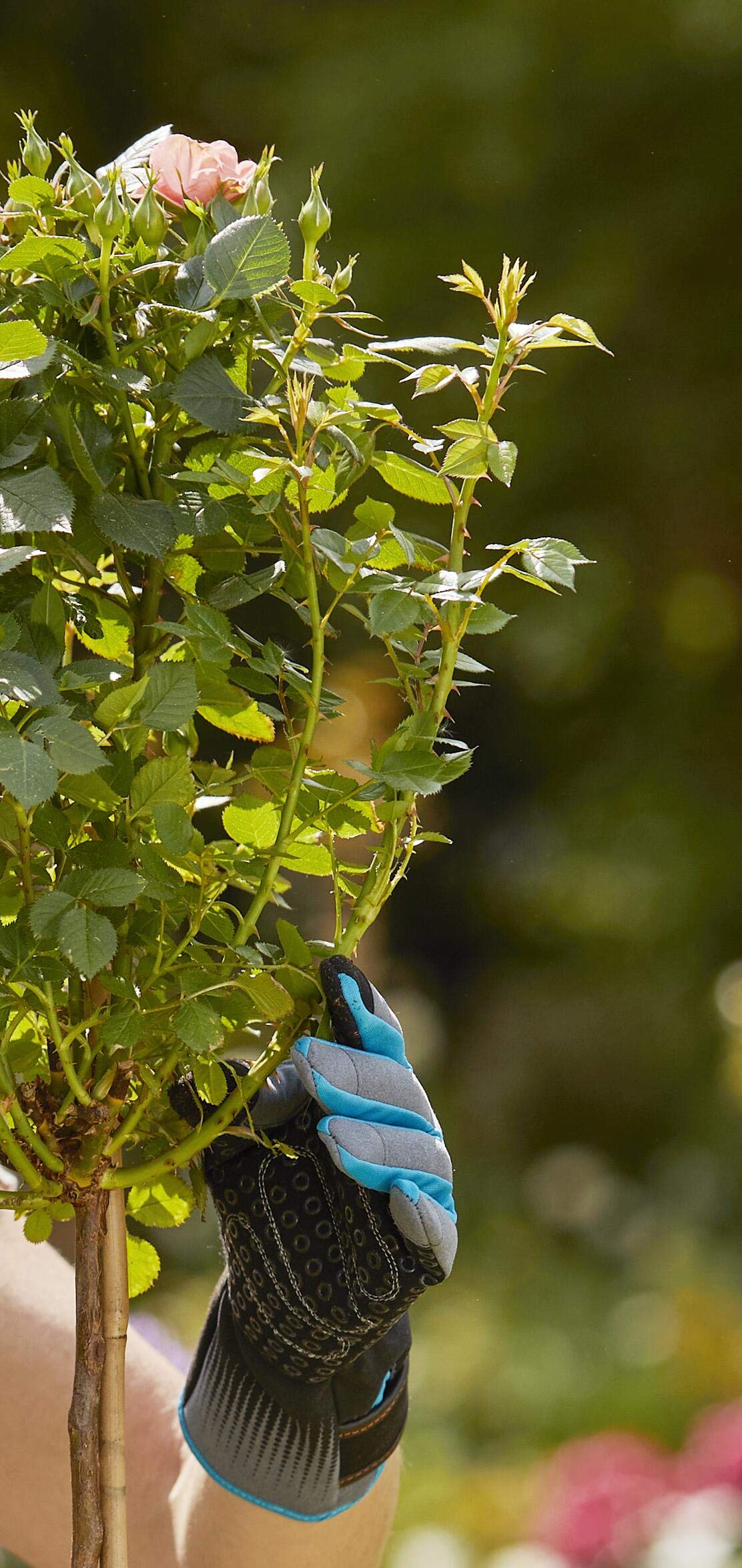 GARDENA Gants de jardin pour rosiers (11540-20) - 6