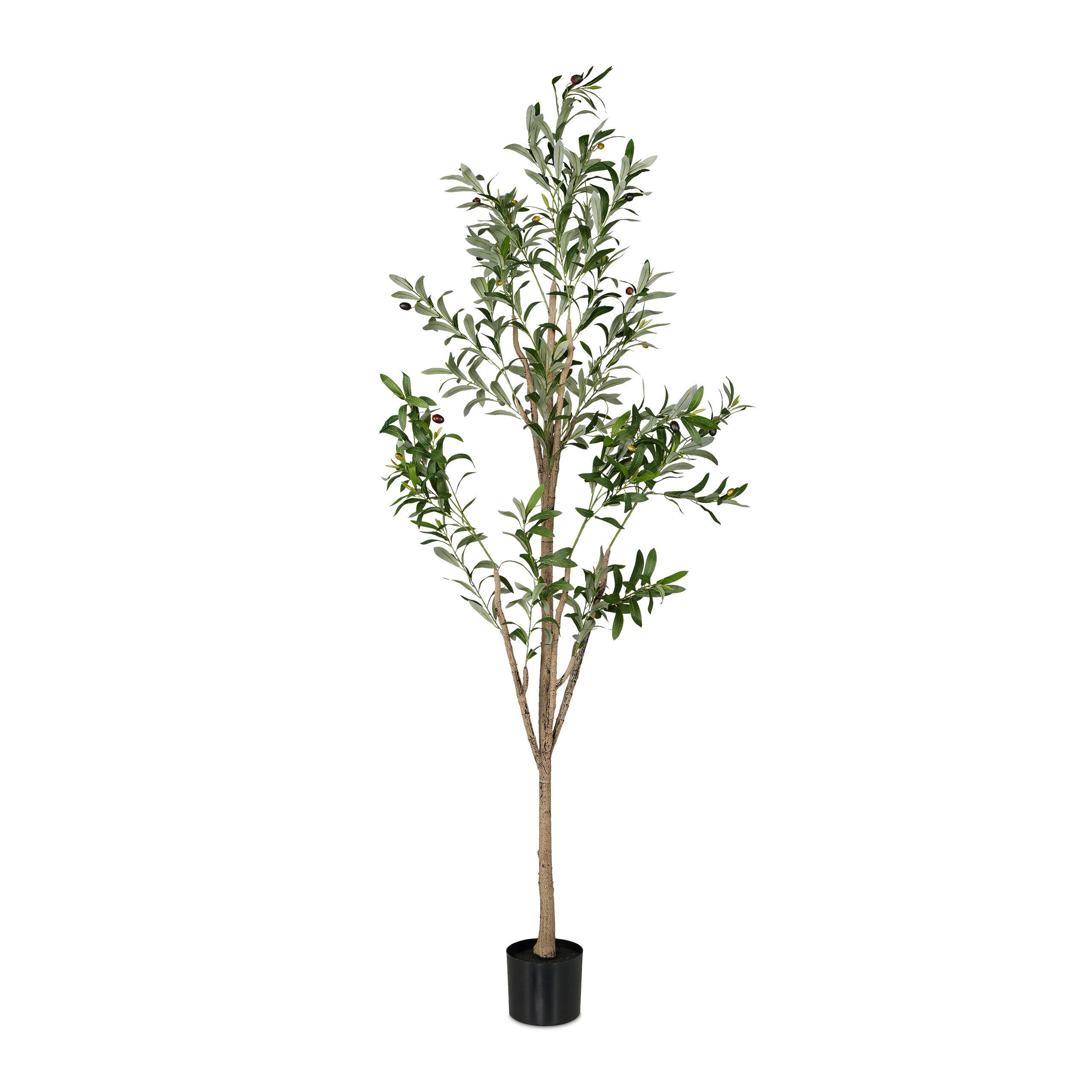 Albero Di Ulivo Artificiale Finto Da Interno – Altezza 2,4 M, 3200 Foglie, In Vaso, Sempreverde Senza Manutenzione, Confezione Da 2 - 2