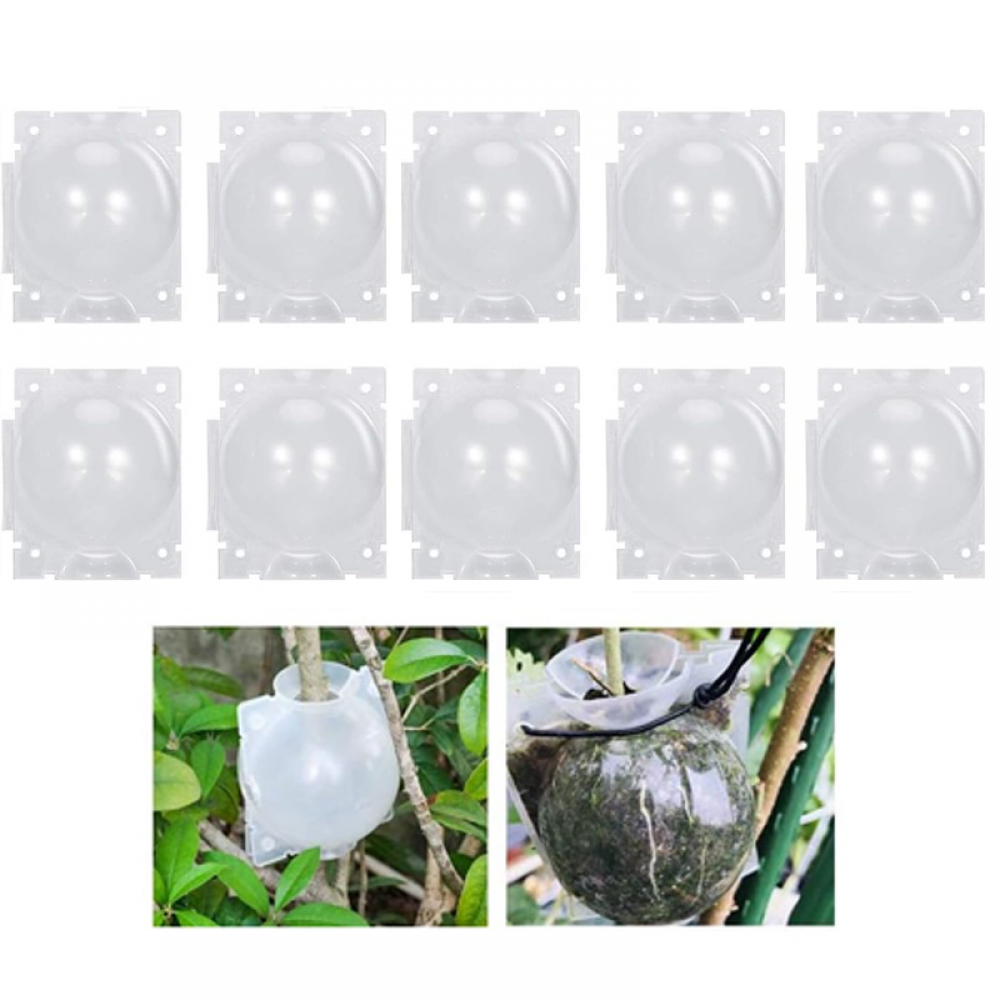 10 kul ukorzeniających do roślin - Skrzynka do szczepienia ogrodowego - Skrzynka do ukorzeniania sadzonek - Kule do sadzonek - 8 cm, przezroczyste