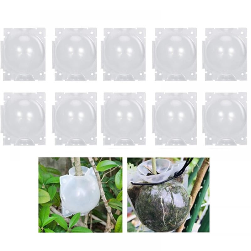 10 kul ukorzeniających do roślin - Skrzynka do szczepienia ogrodowego - Skrzynka do ukorzeniania sadzonek - Kule do sadzonek - 8 cm, przezroczyste