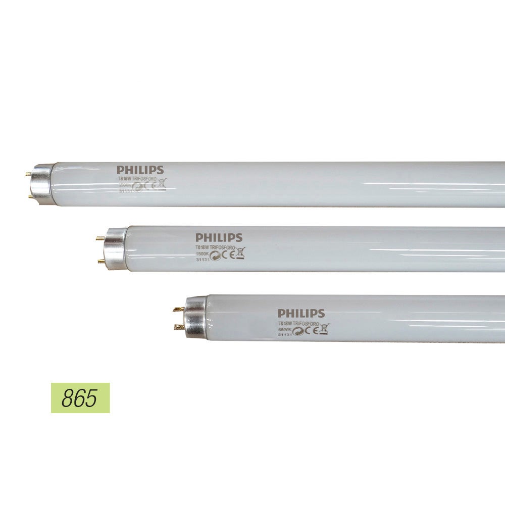 Tubo fluorescente T8 58W 865 PHILIPS MASTER 632258 - 4