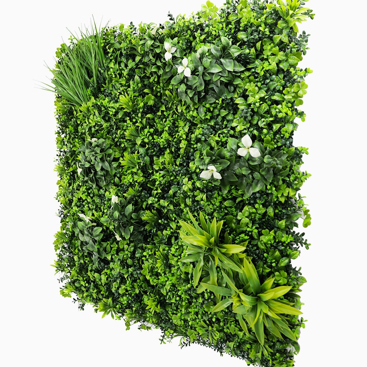 Mur Vegetal Artificiel Liseron MGS Plaque de 1Mx1M | Tecnomat ...