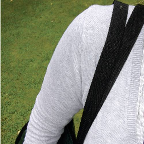 Meister Werkzeuge WU9610050 Sac de jardinage 245 l vert - 2