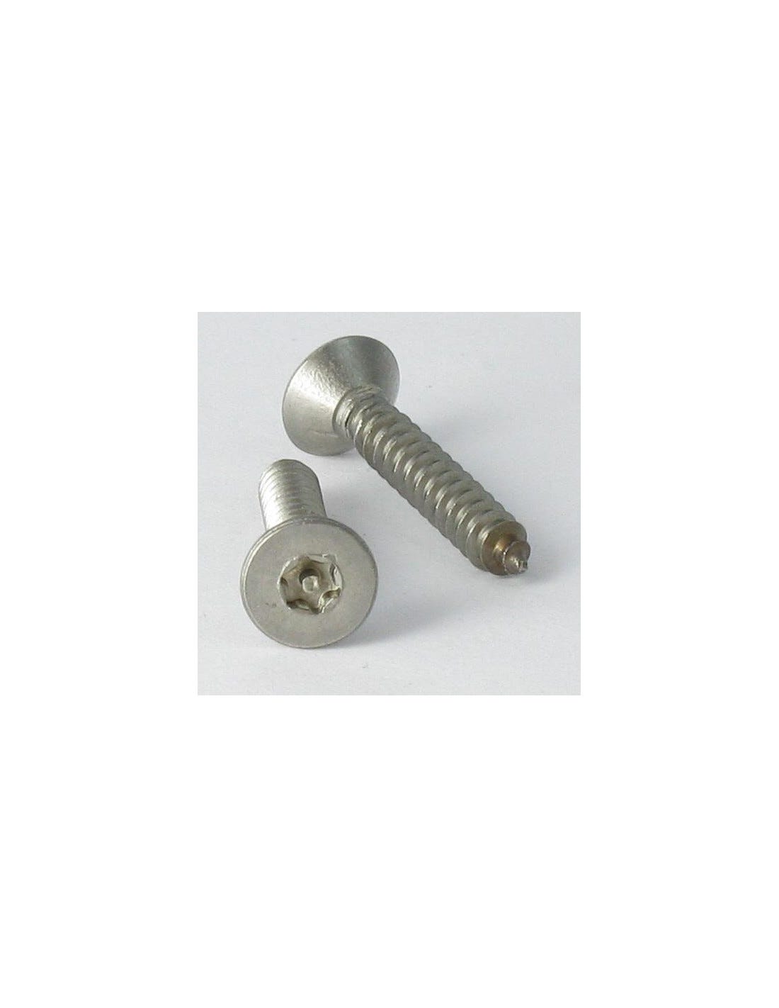 Vis tôle Inviolable Inox A2 Tête fraisée TF T25+TETON 4.8X19-1 piece ...