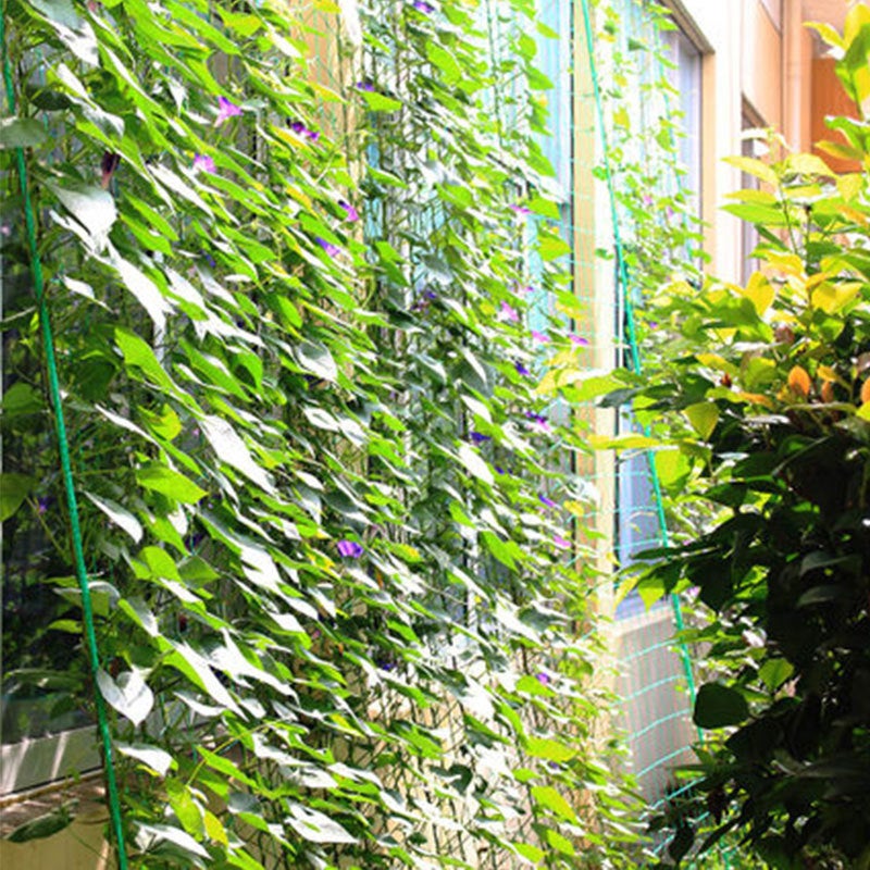 Filet d'escalade de jardin Filet d'escalade pour plantes, adapté aux jardins (0,9 M * 1,8 M) - 2