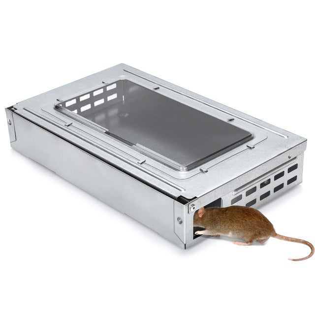Piège à Souris Vivante Réutilisable |Attrape Souris Sans Cruauté Piège à Souris Vivante Réutilisable |Attrape Souris Sans Cruauté