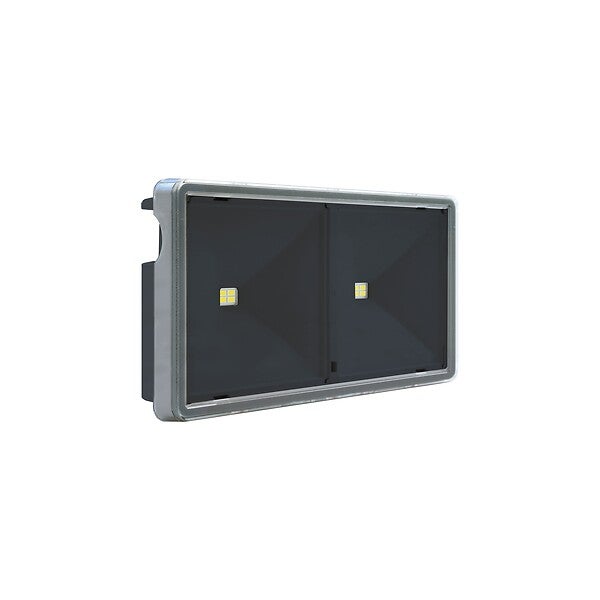 BAES Evacuation - IP65/IP44 - IK08 - 136 lm - certifié NF - 4