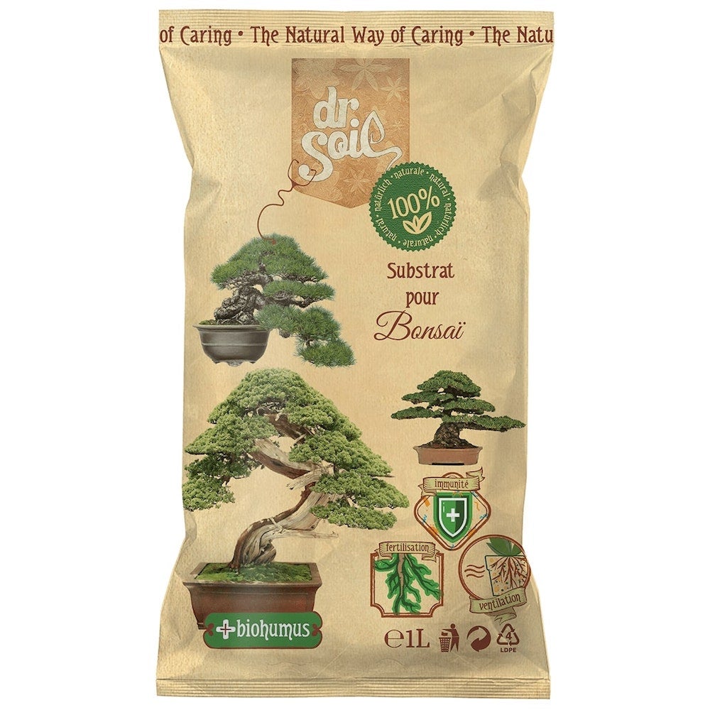 Westland Terriccio Per Bonsai Con Seramis – Miscela Speciale 4L, Con Granuli Regolatori D'Acqua, Per Piante Forti E Sane