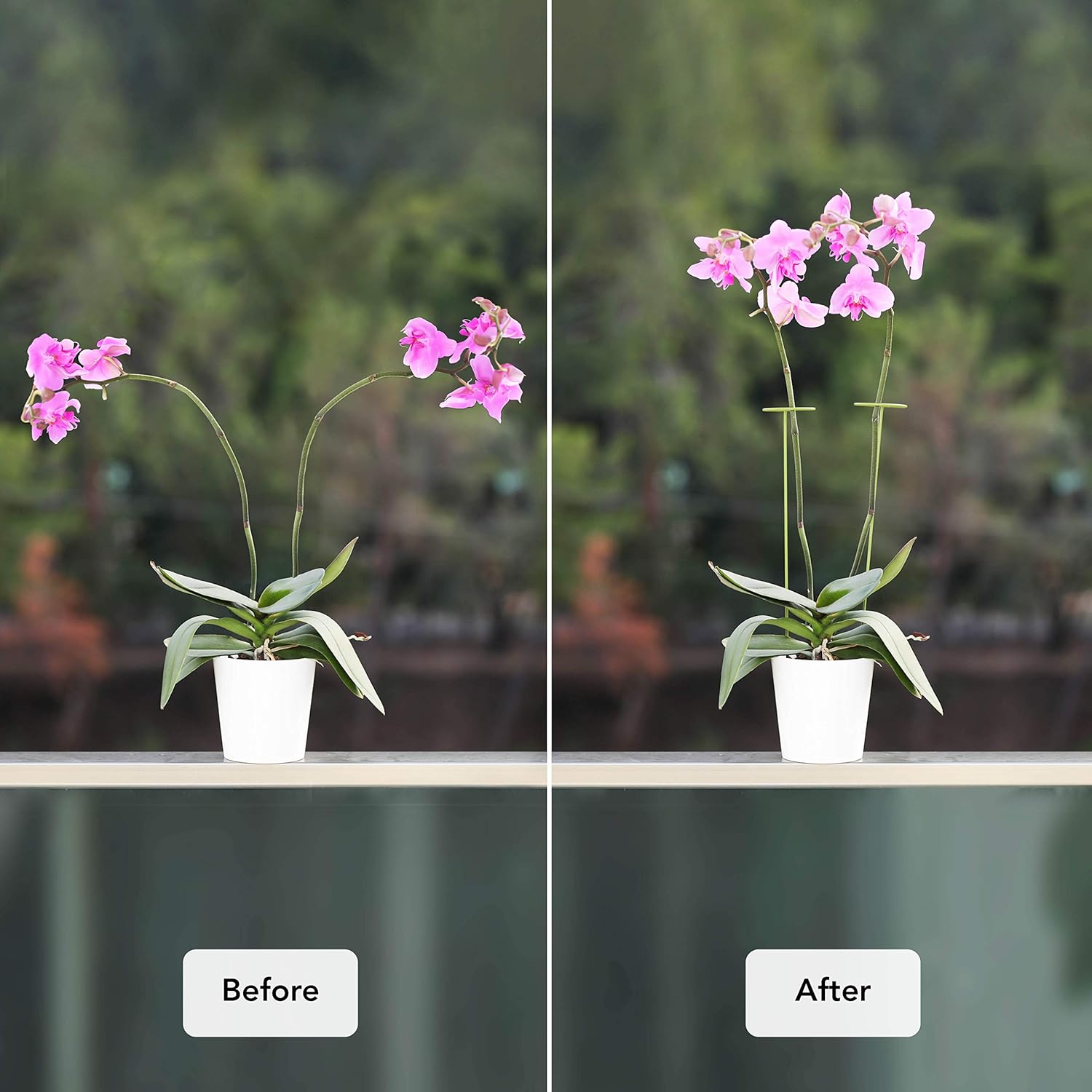 10 Tuteur Plante | Supports pour Plantes Grimpantes et Fleurs | Tuteur Vert | Aidez Vos Fleurs à Pousser | Tuteurs Tomates Jardin | Pieux à Orchidées, - 4