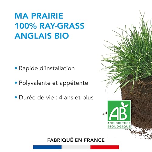BARENBRUG - Prairie 100% Ray-grass anglais - Rapide d'Installation - Polyvalente et Appétente - Très Bonne Pérennité 4 ans et + - 10KG - 2