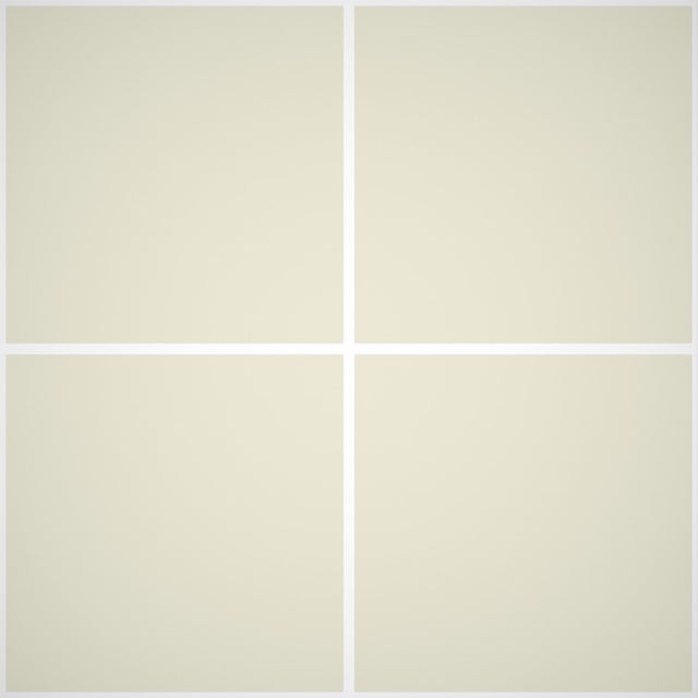 Stucco di Finitura per Interni tipo Veneziano Venetian Lime - 516 - 1,2 kg