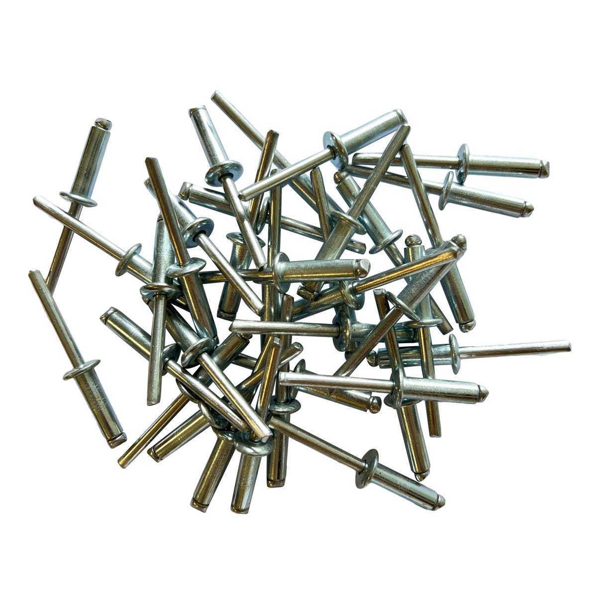 Au$250 Rivet SACHET DE 250 RIVETS ACIER STANDARDS DE 6.4 X 22 | Leroy Merlin