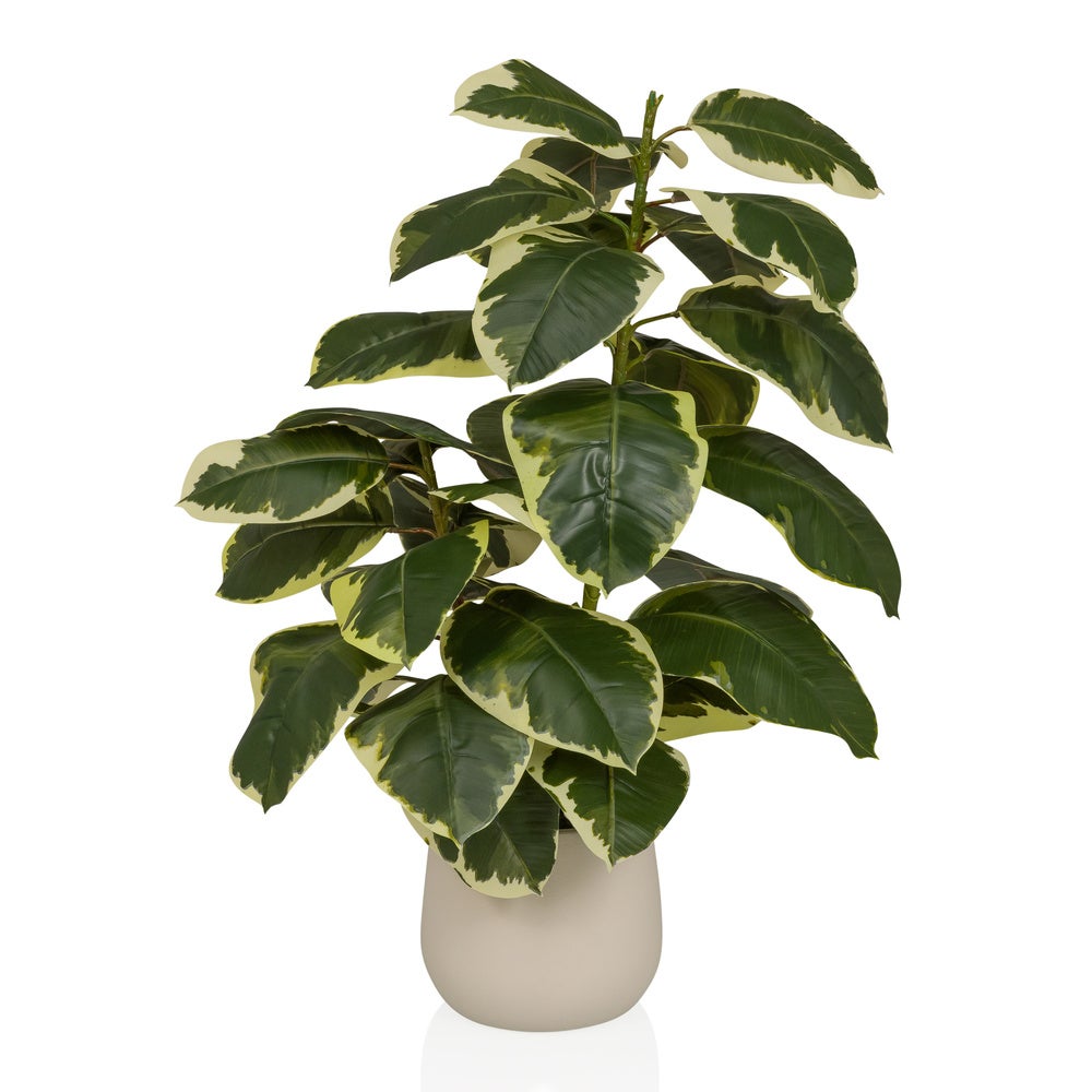 Sztuczna roślina / sztuczne drzewo FICUS 3 85 cm Ficus Elastica Drzewo kauczukowe Plastik zielony hjh OFFICE
