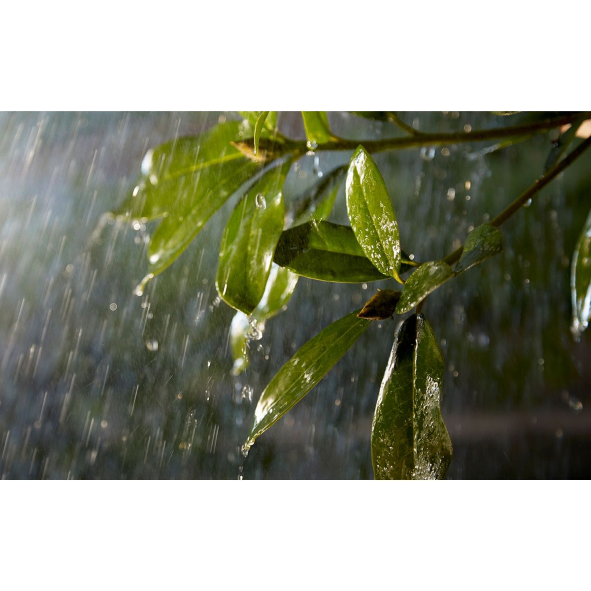 Module PHILIPS HUE pour Extérieur 5M - 3