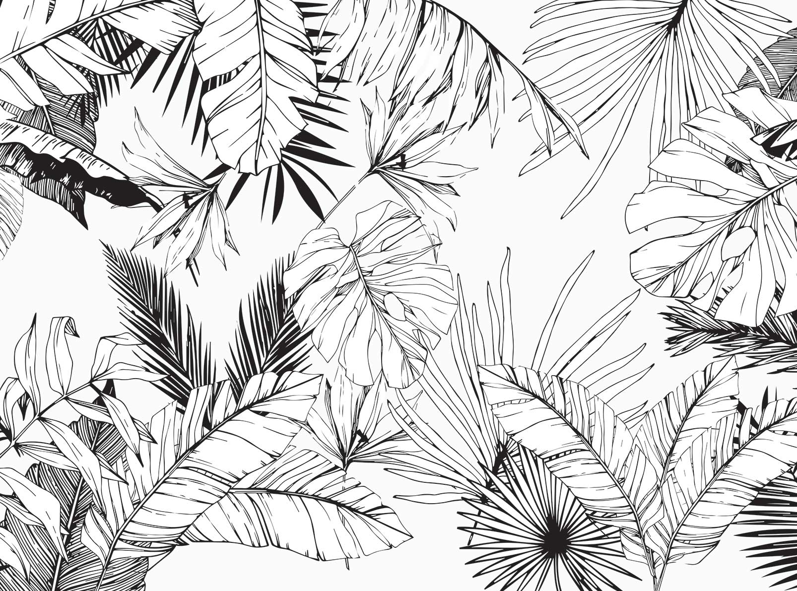Papier peint tropiques à l'encre - 364x270cm - 5
