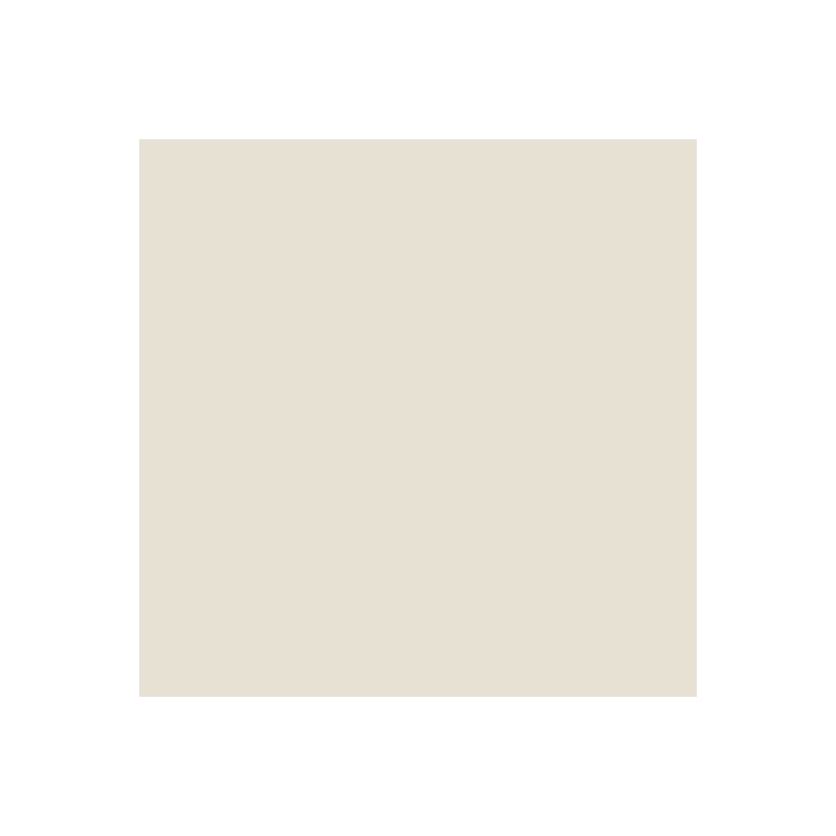 Peinture Façade Solvantée Pliolite - ARCAFACADE PLIOPROTECT - 10 L (+ ou - 80 m² en 1 couche) Blanc Crème - RAL 9001 - ARCANE INDUSTRIES - 2