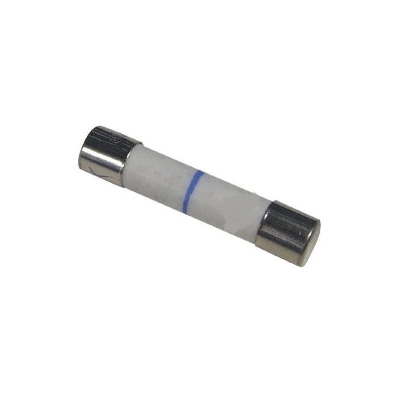 Fuse 12 Amps 32 M/m 250 Vac Reference: As0000543 for Fagor Microwave : Buy Online at Best Price in KSA - Souq is now