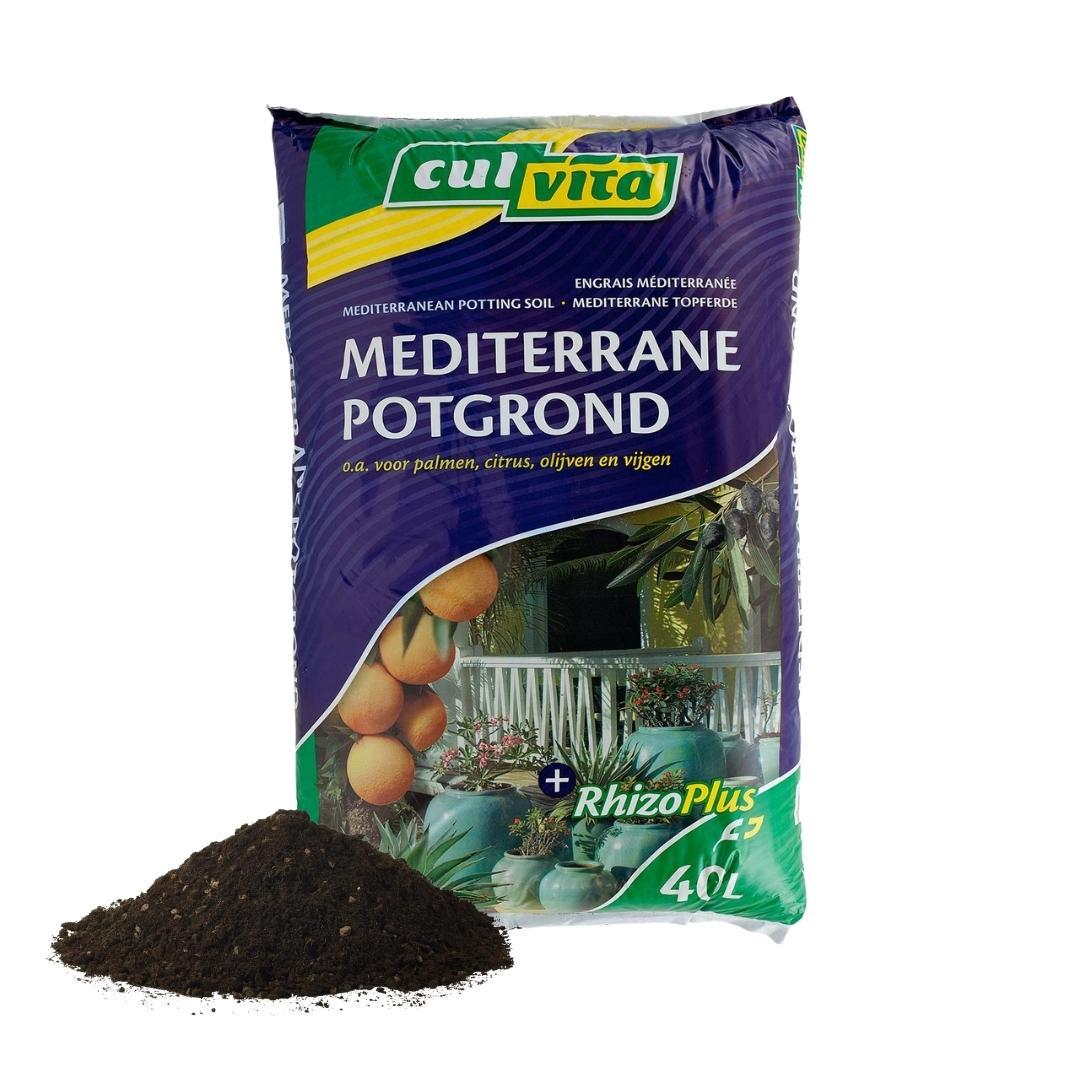 Ziemia doniczkowa Culvita Mediterranean 40 l – z RhizoPlus – do drzew oliwnych, cytrusowych i palm – MOSELOTA