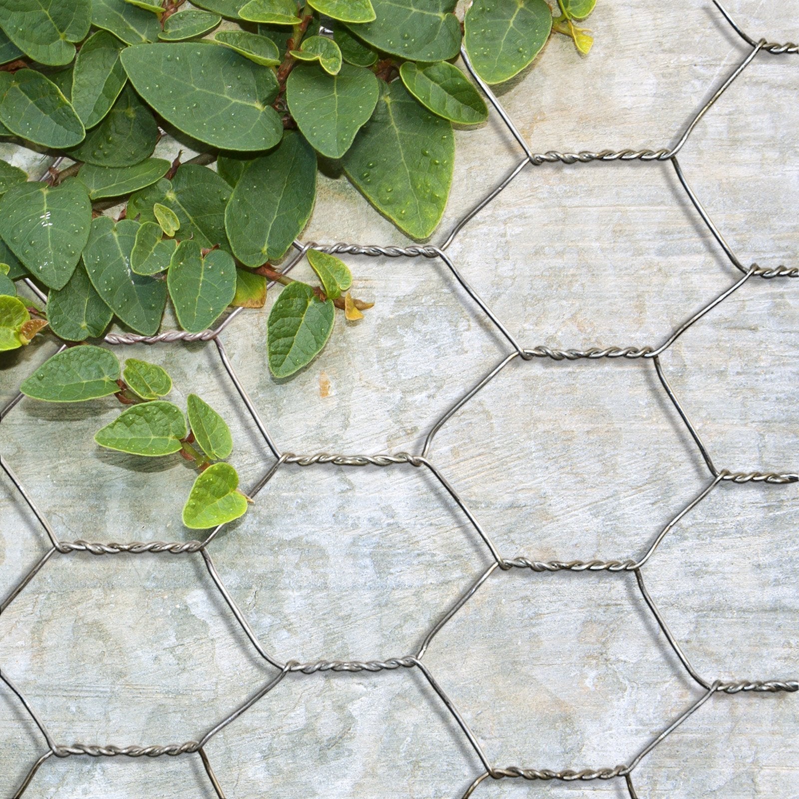 Grillage triple torsion acier galvanisé maille hexagonale 25 mm 100 cm x 25 m - 4