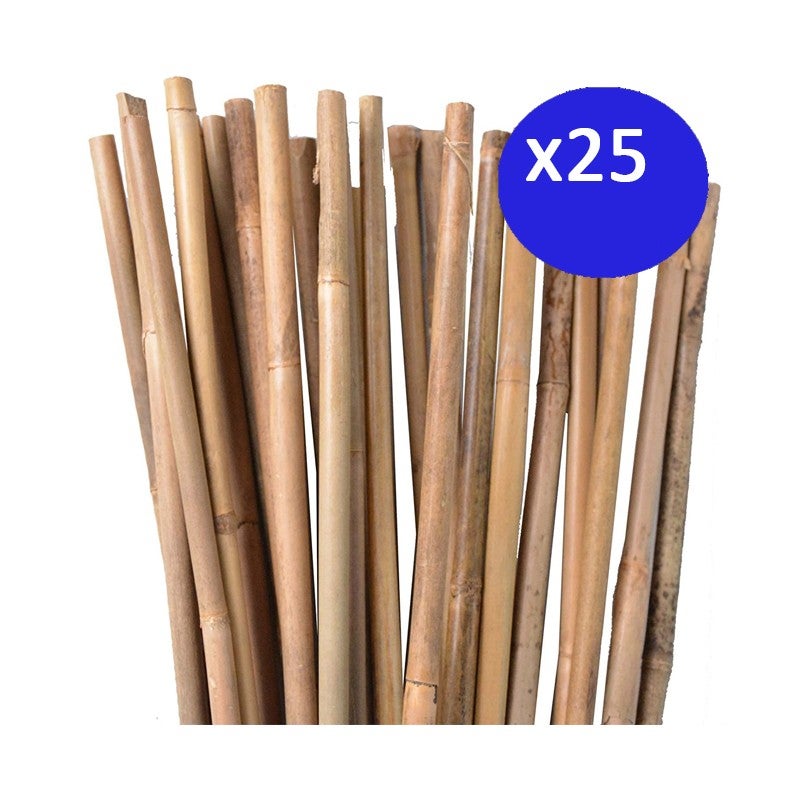 Tutore Bamboo D 22-24 mm x H 1.5 m | Leroy Merlin
