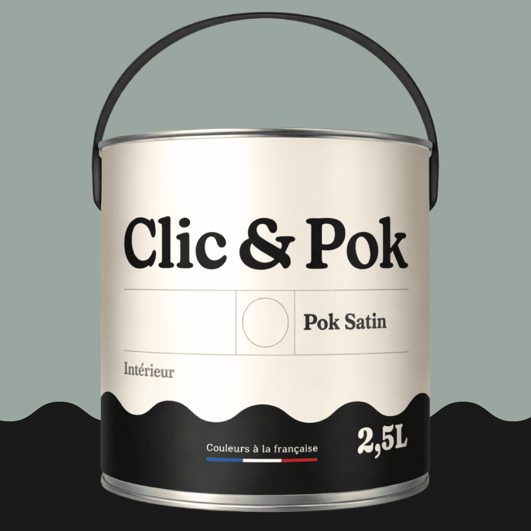 POK SATIN Peinture Mur Plafond – Intérieure Satinée, Lessivable ...