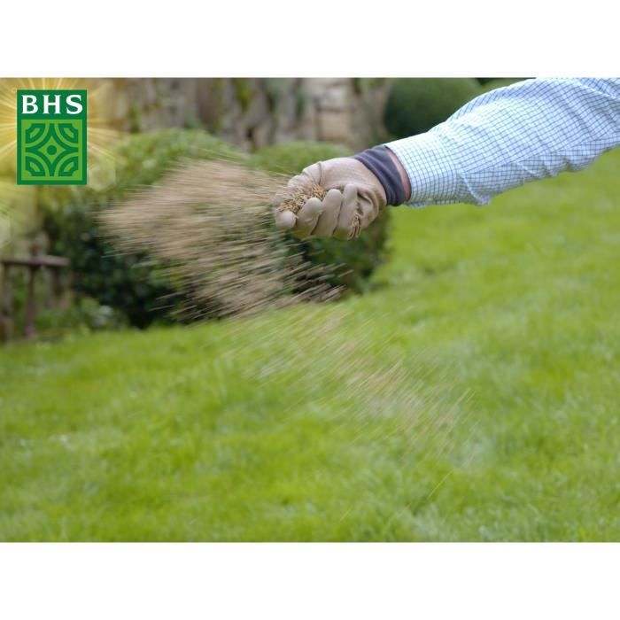 Graines de gazon rustique BHS - 3