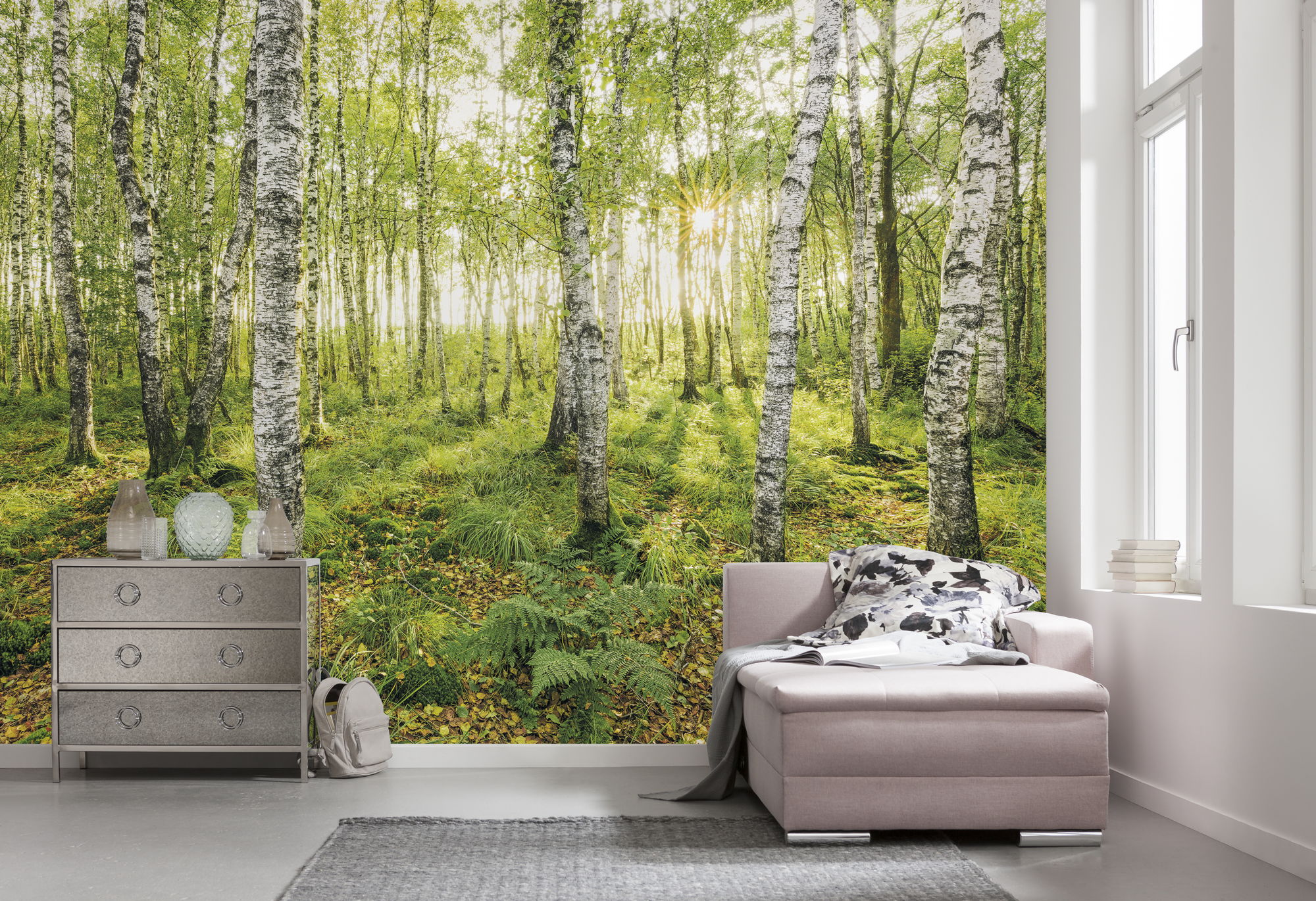 Fototapeta brzozy zielonym - 400 x 250 cm - SANDERS &amp; SANDERS