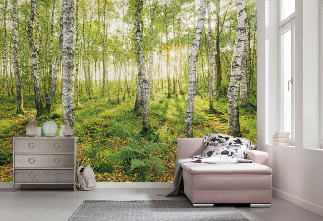 Fototapeta brzozy zielonym - 400 x 250 cm - SANDERS & SANDERS