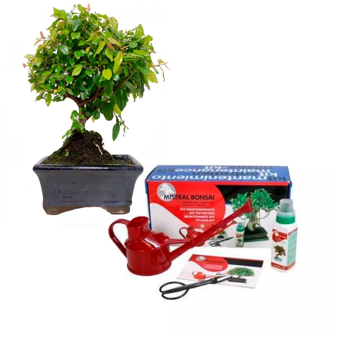 Nutribonsai Planeta Huerto - Engrais Liquide 250ml Pour Bonsaï