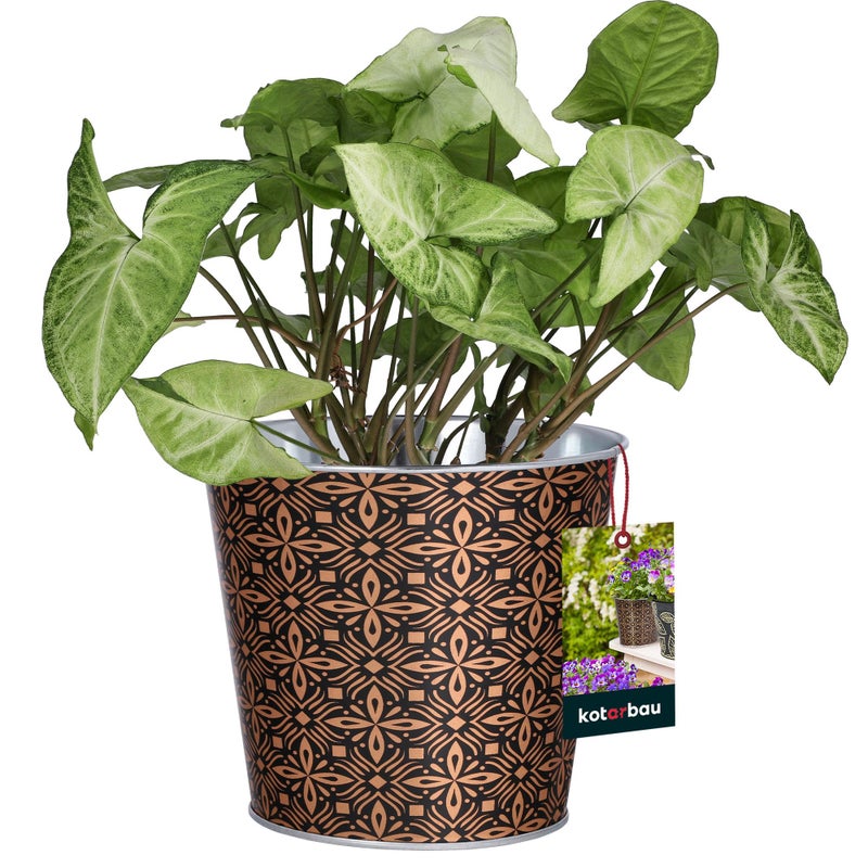 Doniczka na kwiaty rośliny donica stalowa osłonka okrągła zioła kuchni domu - KOTARBAU